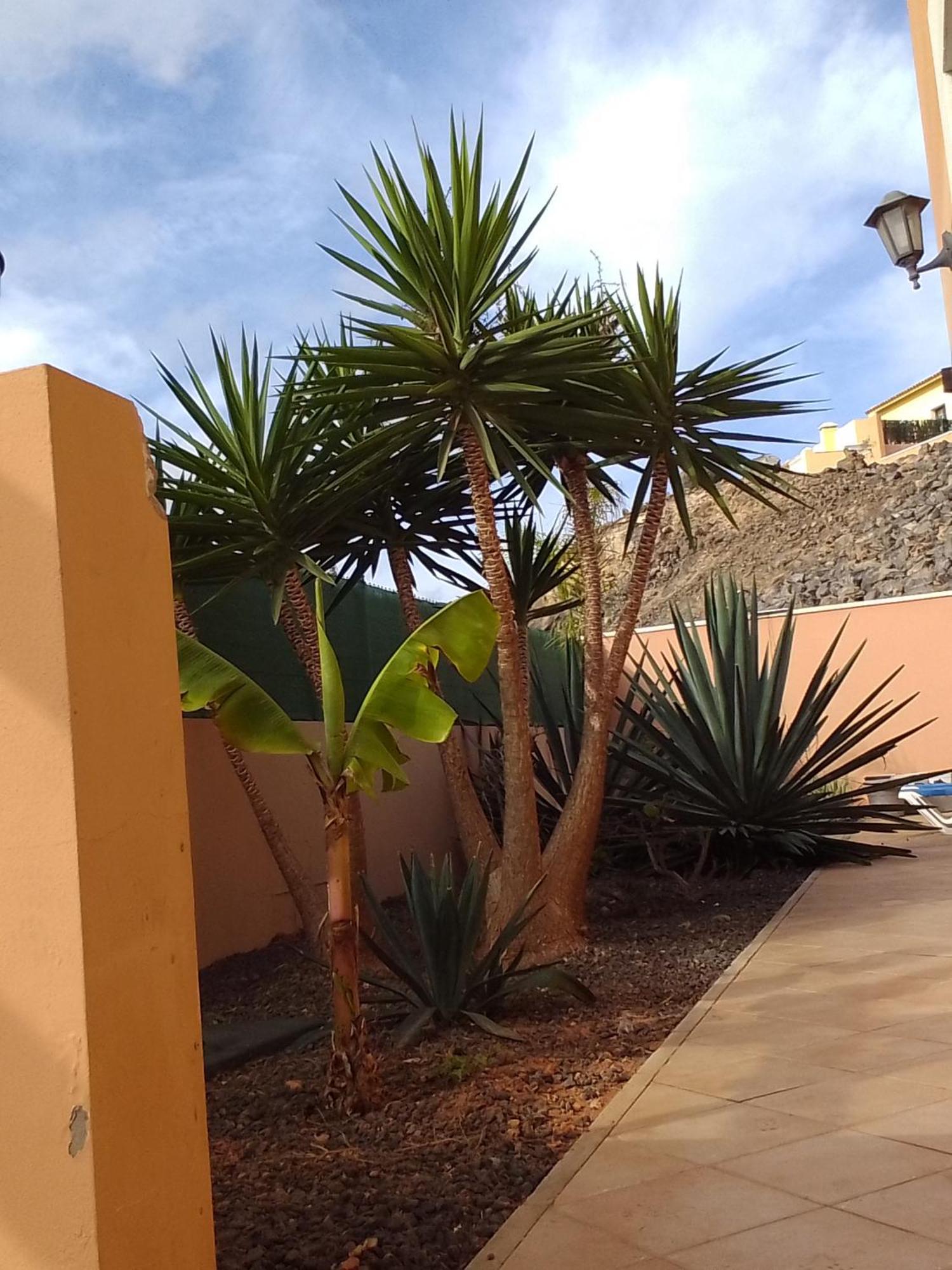 Hostel A Casa Di Ilaria Corralejo Exteriér fotografie